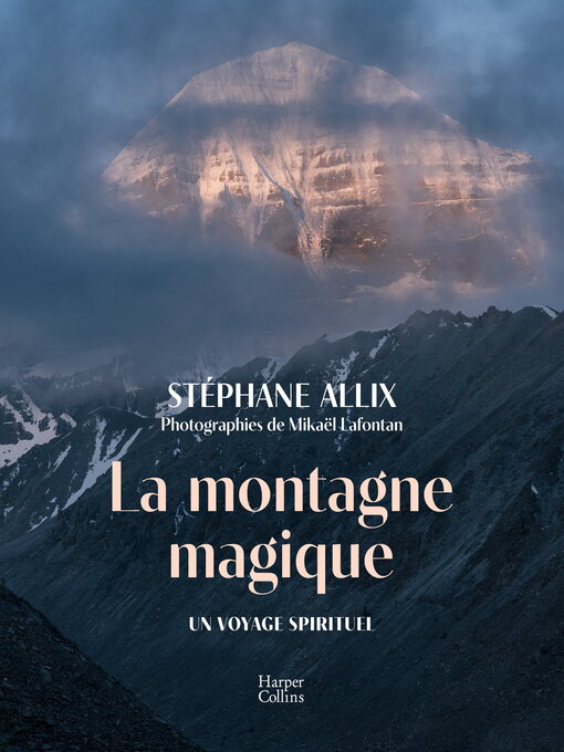 Title details for La montagne magique by Stéphane Allix - Available